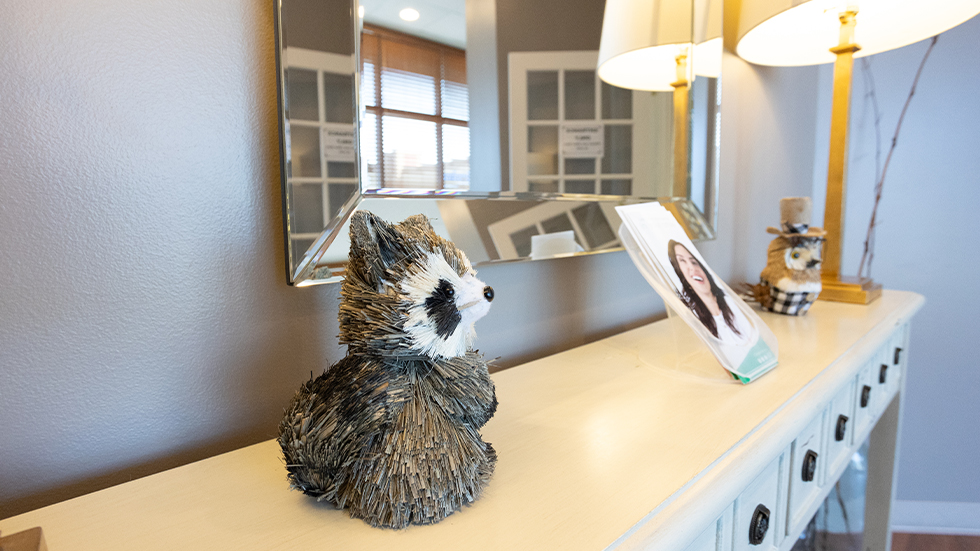 Model of a raccoon on a table